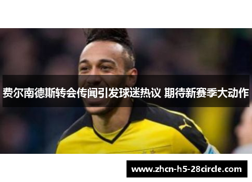 费尔南德斯转会传闻引发球迷热议 期待新赛季大动作 费尔南德斯转会传闻引发球迷热议 期待新赛季大动作