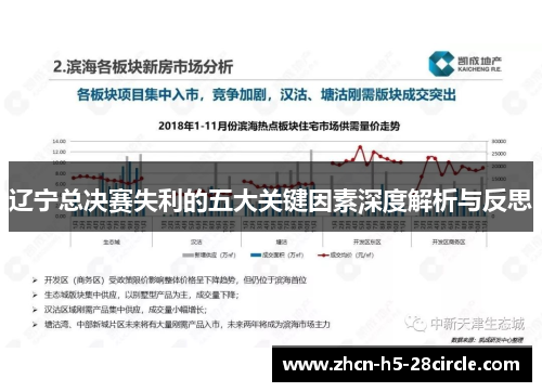 辽宁总决赛失利的五大关键因素深度解析与反思